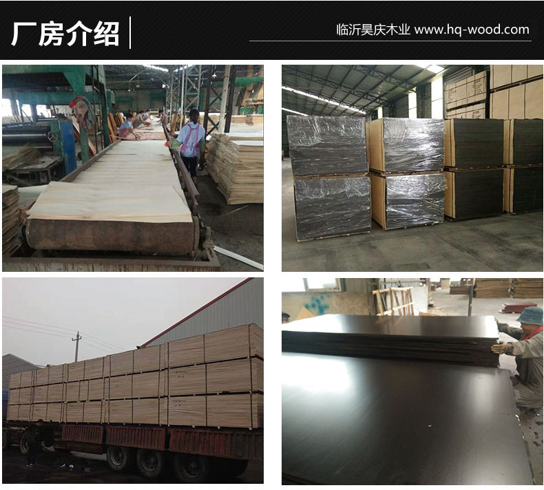 廠房展示 (1).jpg